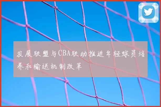 发展联盟与CBA联动推进年轻球员培养和输送机制改革