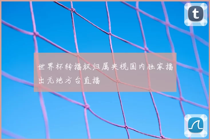 世界杯转播权归属央视国内独家播出无地方台直播