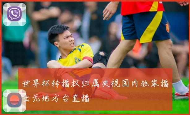 世界杯转播权归属央视国内独家播出无地方台直播